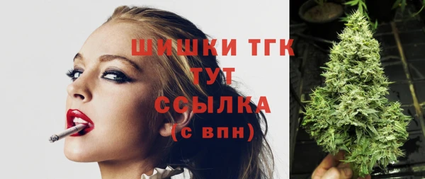 СК Белокуриха