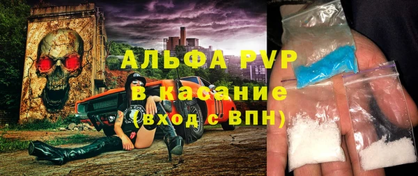 СК Белокуриха