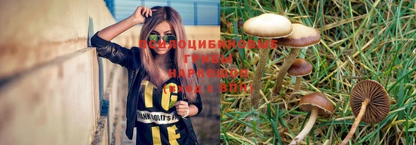 СК Белокуриха