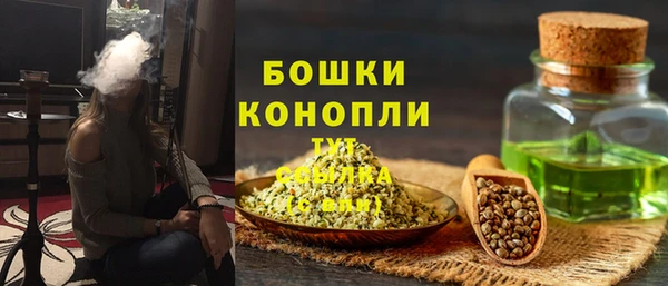 СК Белокуриха
