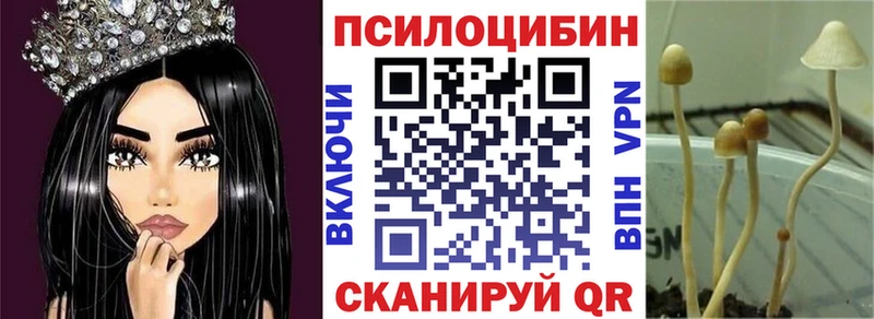 что такое   Саяногорск  Псилоцибиновые грибы Psilocybe 
